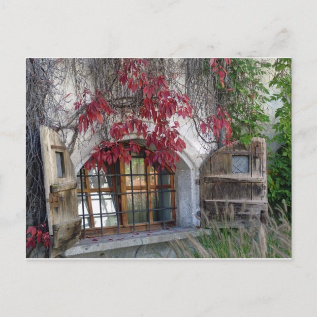 Cartão Postal outono bávico (Frente)