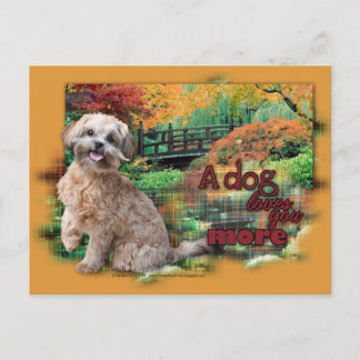 Cartão Postal Outono - Cão Te Ama Mais - Shihpoo - Maggie