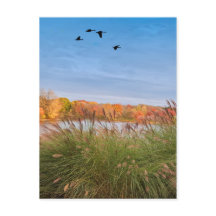 outono de Connecticut pintado