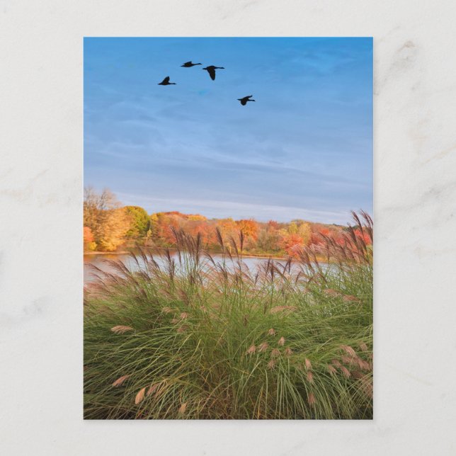 Cartão Postal outono de Connecticut pintado (Frente)