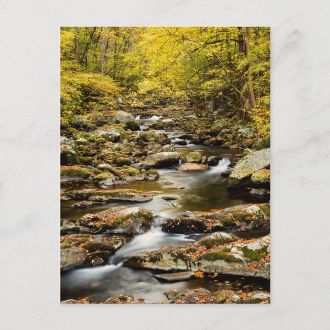 Cartão Postal Outono em Big Creek (Frente)