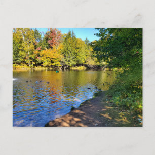 Cartão Postal Outono em Michigan