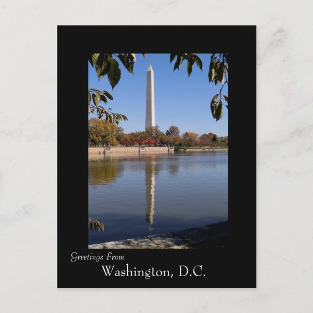 Cartão Postal Outono em Washington DC (Frente)