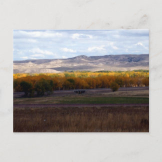 Cartão Postal Outono em Wyoming