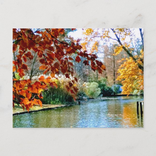 Cartão Postal outono na Carolina do Norte (Frente)