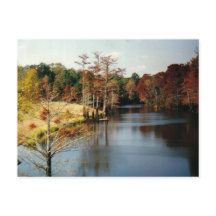 Outono no Bayou Postcard
