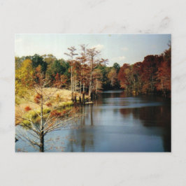 Cartão Postal Outono no Bayou Postcard