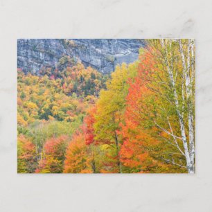 Cartão Postal Outono no Parque Estadual Grafton Notch, Maine