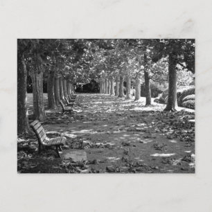 Cartão Postal Outono no Parque Tóquio