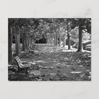 Cartão Postal Outono no Parque Tóquio