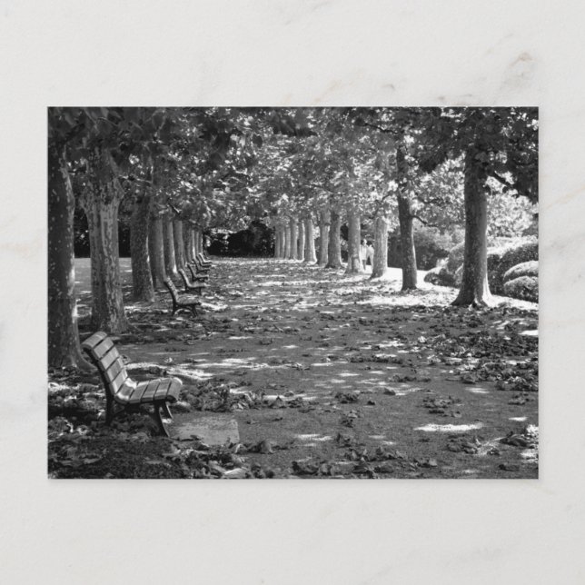 Cartão Postal Outono no Parque Tóquio (Frente)