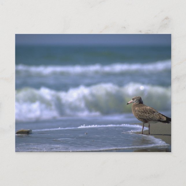 Cartão Postal outro lado do mar (Frente)