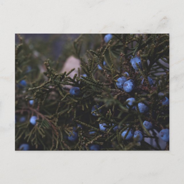 Cartão Postal "Outros Mundos Azuis" (Frente)