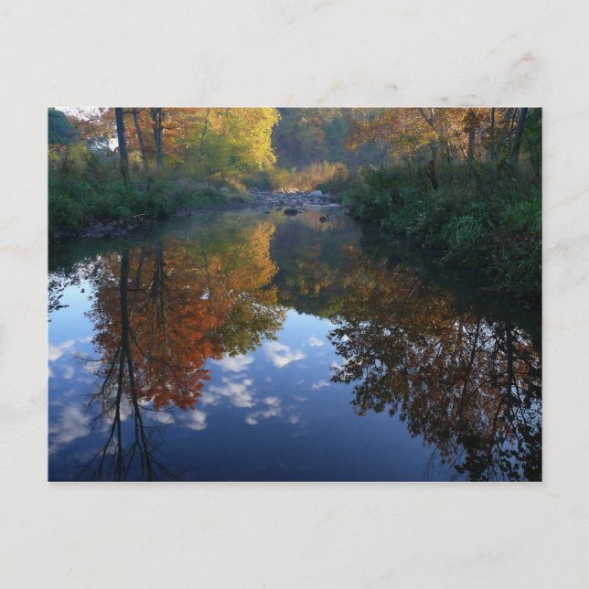Cartão Postal outubro no córrego (Frente)
