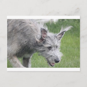 Cartão Postal ouvidos em movimento