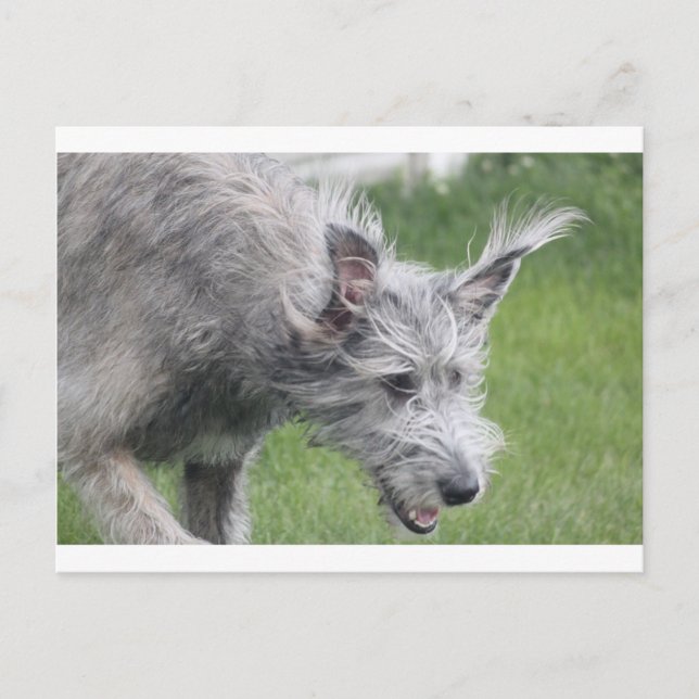 Cartão Postal ouvidos em movimento (Frente)