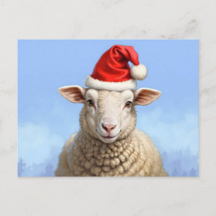 Cartão Postal ovelha de natal