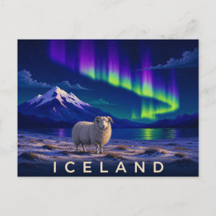 Cartão Postal Ovelha Islandesa sob a Aurora   Islândia Icônica