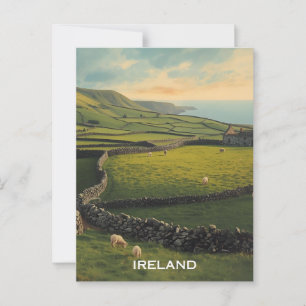 Cartão Postal Ovelhas da Irlanda