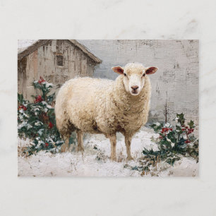 Cartão Postal Ovelhas em Cena de Inverno Nevado