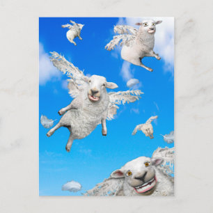 Cartão Postal OVELHAS Voadoras 2