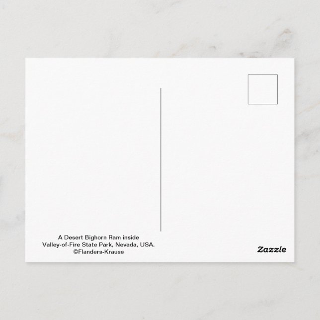 Cartão Postal Ovelino do Deserto Masculino - III (Verso)