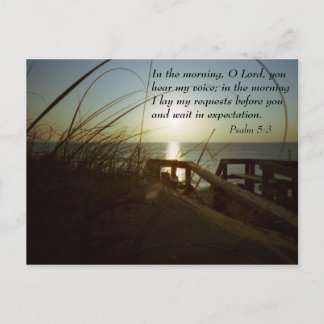 Cartão Postal Overnight 4