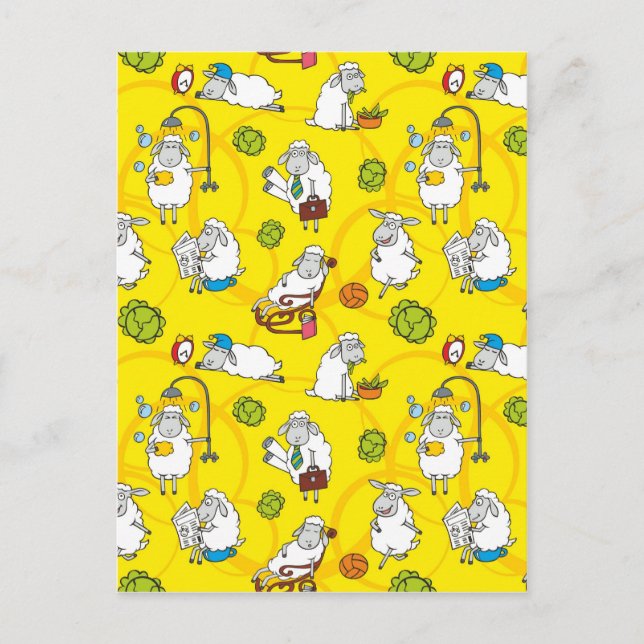 Cartão Postal Ovinos (Frente)