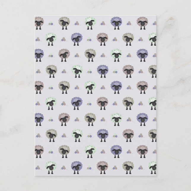 Cartão Postal Ovinos (Frente)