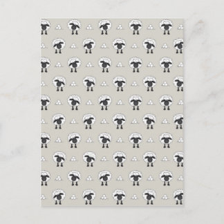 Cartão Postal Ovinos E Lã