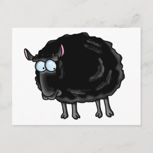 Cartão Postal Ovinos negros