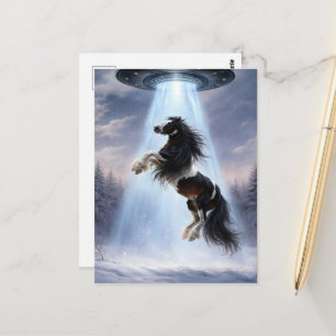 Cartão Postal ÓVNI levando um cavalo Spotted Gypsy Vanner