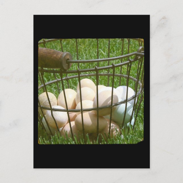 Cartão Postal Ovos (Frente)