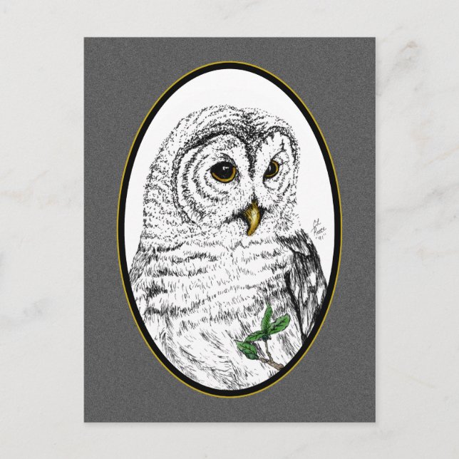 Cartão postal Owl Cameo (Frente)