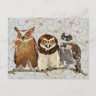 Cartão Postal OWL EM Cartão-Postal LINW