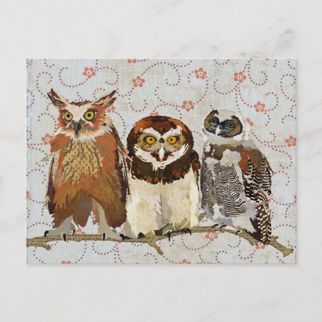 Cartão Postal OWL EM Cartão-Postal LINW (Frente)