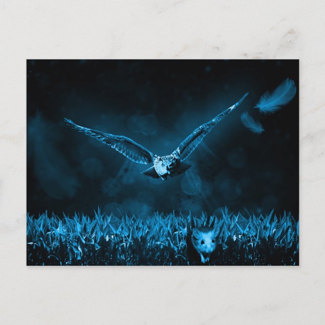 Cartão Postal Owl Hunt Fantasy Night (Frente)
