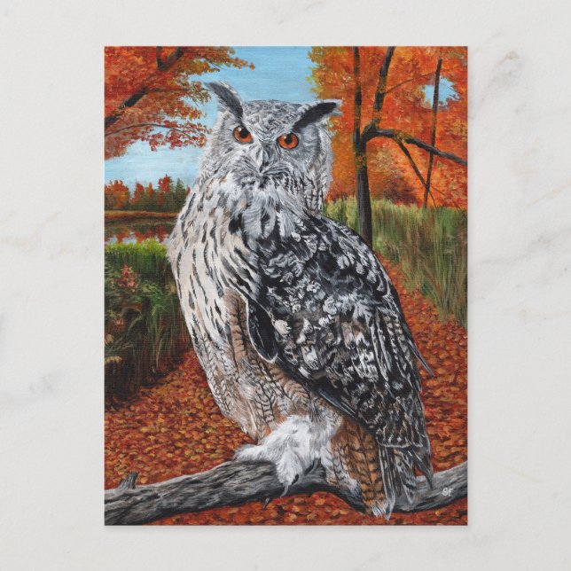 Cartão Postal Owl in Autumn forest fine art (Frente)