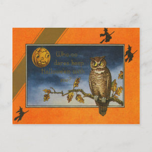 Cartão Postal Owl Jack O Lantern Pumpkin