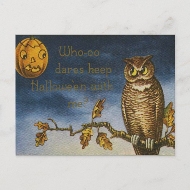 Cartão Postal Owl Jack O Lantern Pumpkin (Frente)