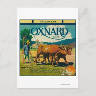 Cartão Postal Oxnard Orange LabelOxnard, CA