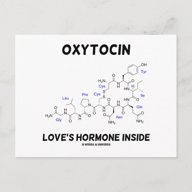 Cartão Postal Oxytocin Love's Hormone Dentro (Química) (Frente)