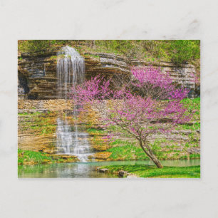 Cartão Postal Ozarks Waterfall Primavera Bluff