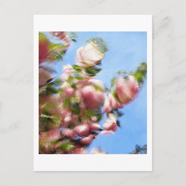 CARTÃO POSTAL P4240442 (Frente)