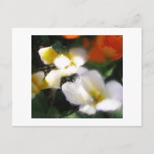 CARTÃO POSTAL P4290105 (Frente)