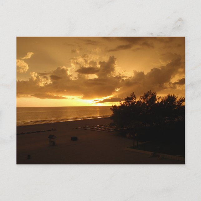 CARTÃO POSTAL P8190542 (Frente)