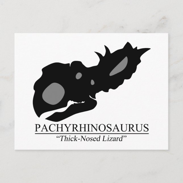 Cartão Postal Pachyrhinosaurus crânio (Frente)
