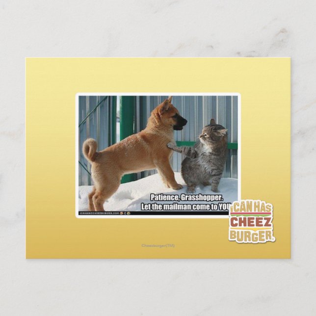 Cartão Postal Paciência, Gafanhoto. (Frente)