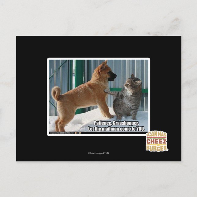 Cartão Postal Paciência, Gafanhoto. (Frente)