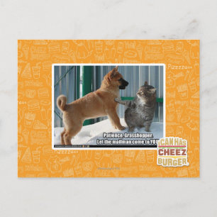 Cartão Postal Paciência, Gafanhoto.